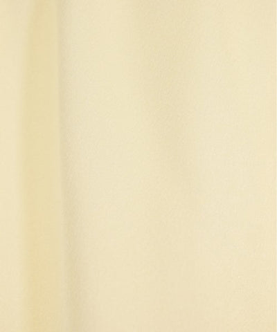 FRAMeWORK Long/Maxi length skirts