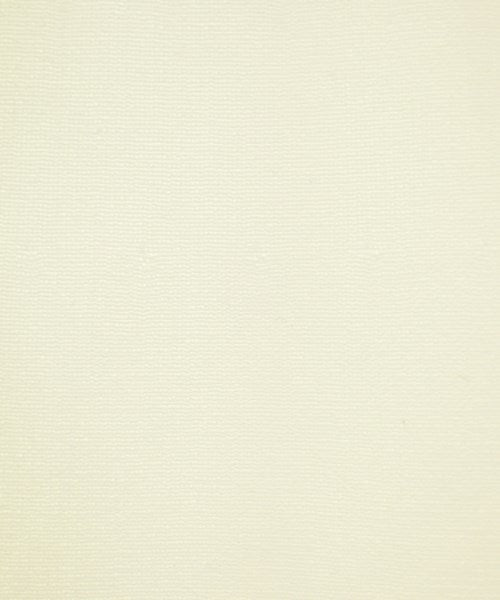 FRAMeWORK Long/Maxi length skirts