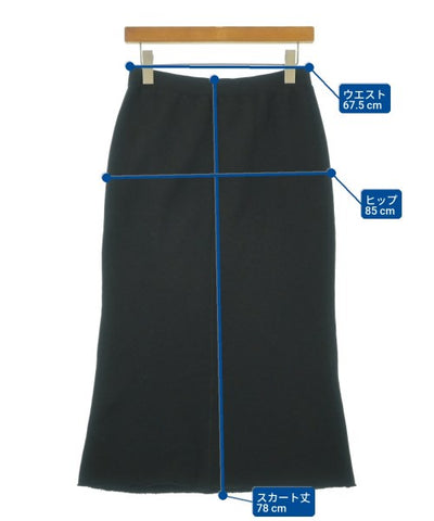 FRAMeWORK Long/Maxi length skirts