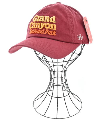 AMERICAN NEEDLE Caps