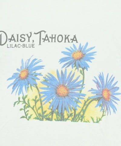 Niche Tee Shirts/Tops