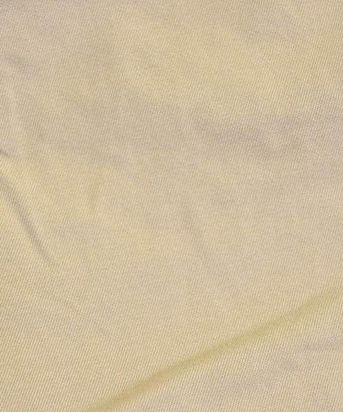 Polo Ralph Lauren Chinos