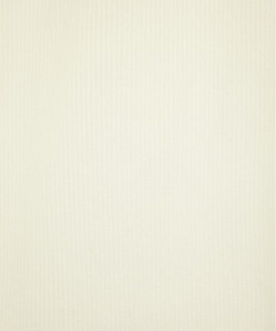 BEIGE, Long/Maxi length skirts