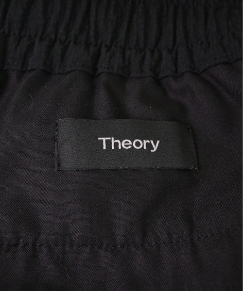 Theory Other