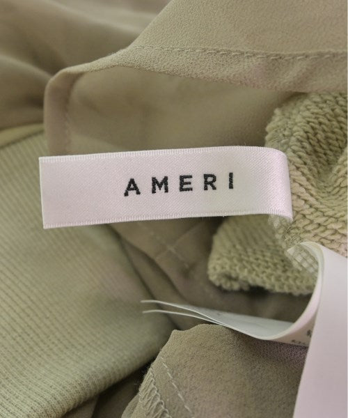 AMERI Other