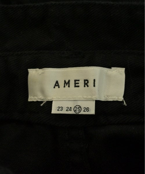 AMERI Other