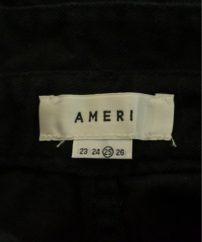 AMERI Other