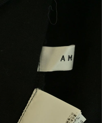 AMERI Other