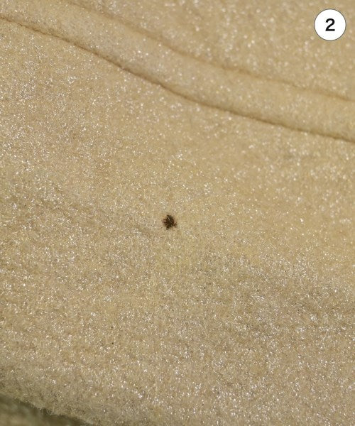 COMME Des GARCONS COMME Des GARCONS Other