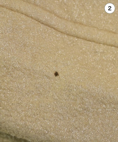 COMME Des GARCONS COMME Des GARCONS Other