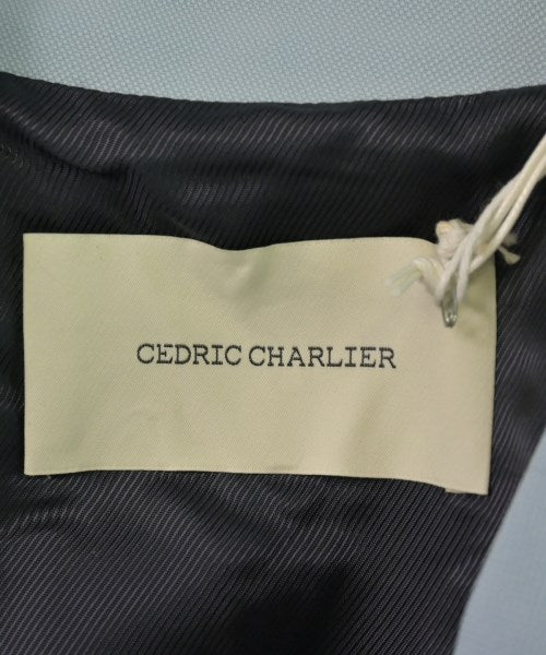 CEDRIC CHARLIER Other