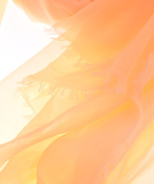 Faliero Sarti Stoles