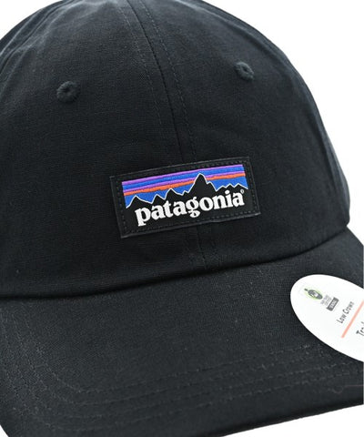 patagonia Caps