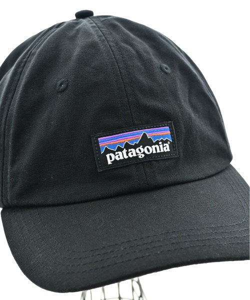 patagonia Caps