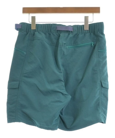 patagonia Shorts