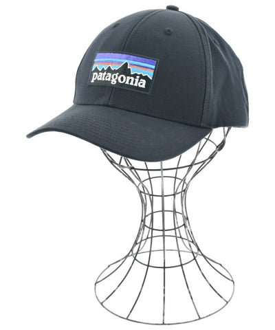 Patagonia Caps
