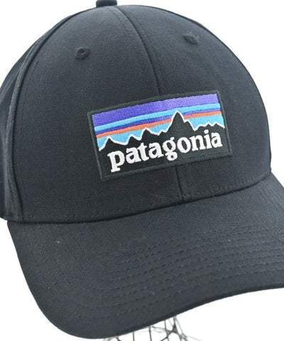 Patagonia Caps