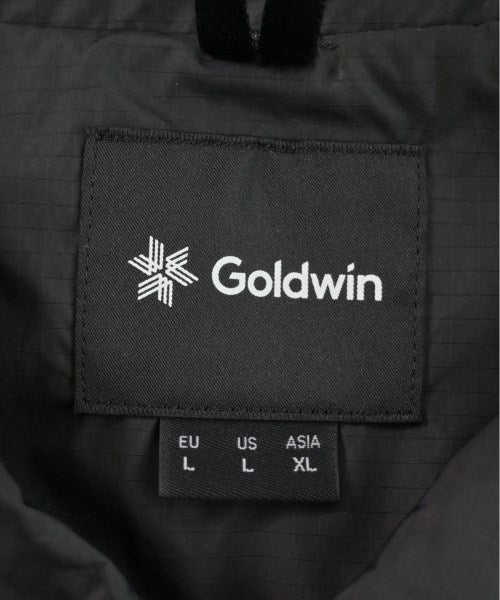 GOLDWIN Other