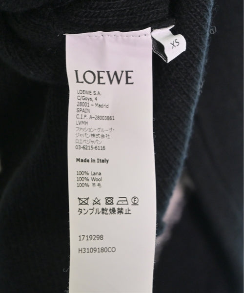 LOEWE Sweaters