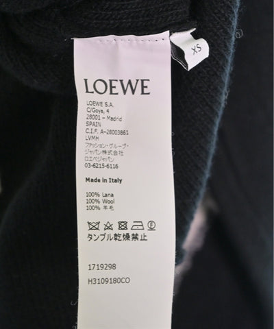 LOEWE Sweaters