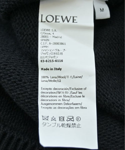 LOEWE Sweaters
