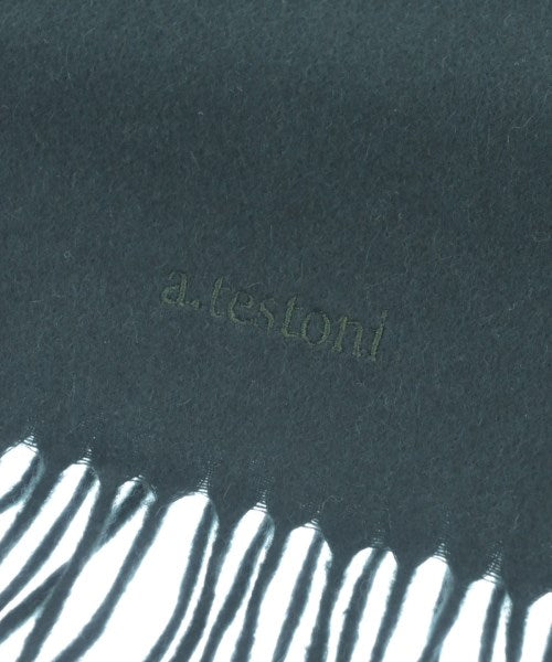 A.Testoni Winter scarves