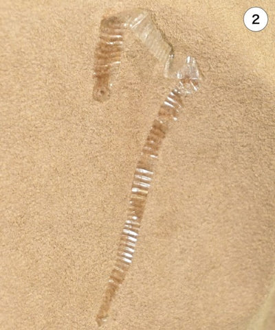 FOXEY BOUTIQUE Knee length skirts