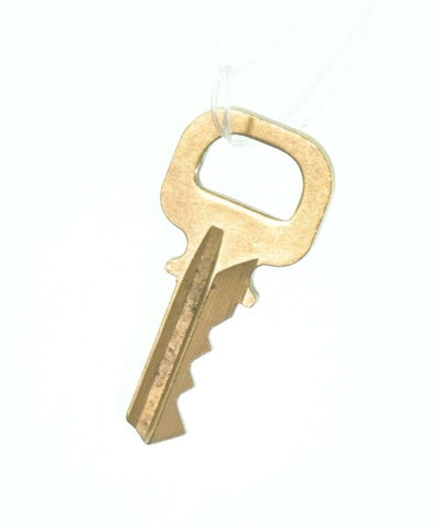 LOUIS VUITTON Business bags