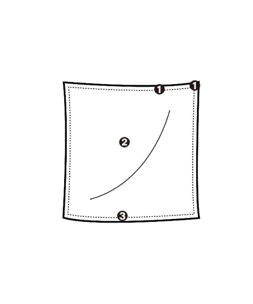 Salvatore Ferragamo Bandana/Scarves