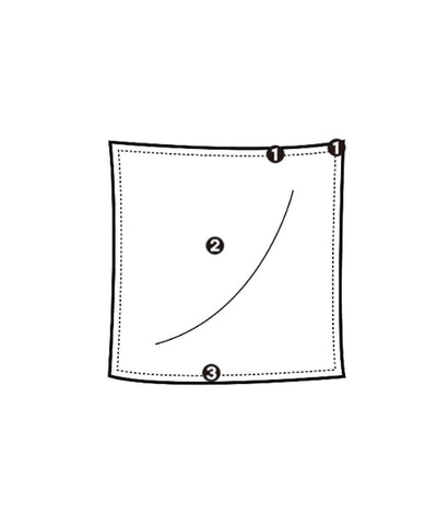 Salvatore Ferragamo Bandana/Scarves