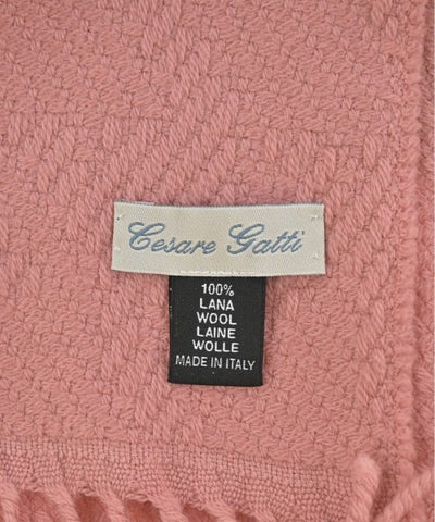 Cesare Gatti Winter scarves