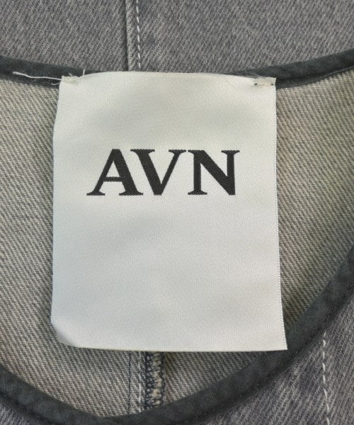 AVN Other