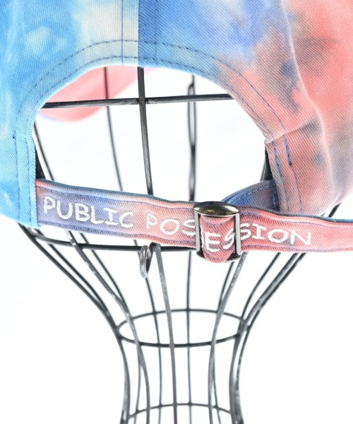 PUBLIC POSSESSION Caps