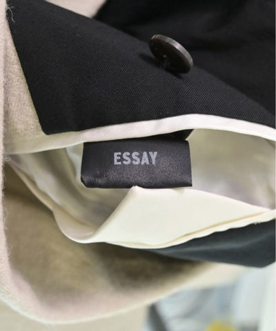 ESSAY Other