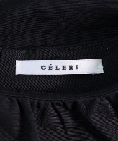 CELERI