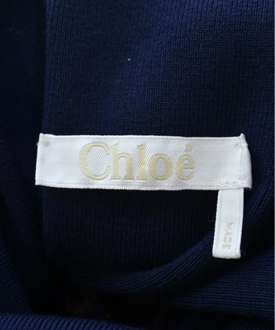 Chloe Long/Maxi length skirts